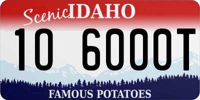 ID license plate 1O6000T