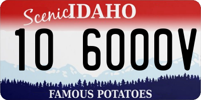 ID license plate 1O6000V