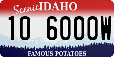 ID license plate 1O6000W