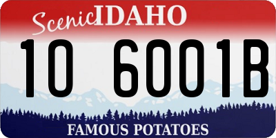 ID license plate 1O6001B