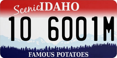ID license plate 1O6001M
