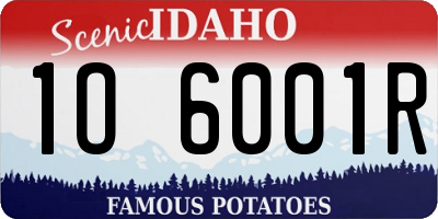ID license plate 1O6001R