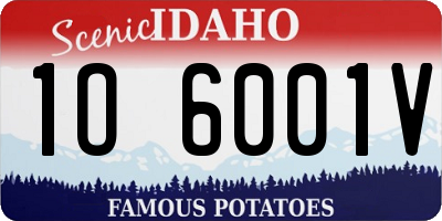 ID license plate 1O6001V