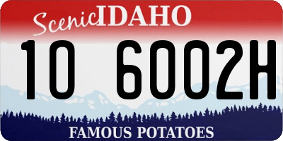 ID license plate 1O6002H