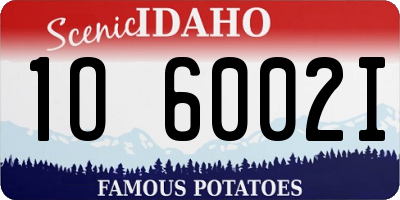 ID license plate 1O6002I