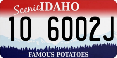 ID license plate 1O6002J