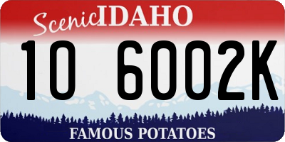 ID license plate 1O6002K