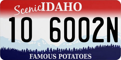 ID license plate 1O6002N
