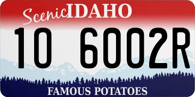 ID license plate 1O6002R