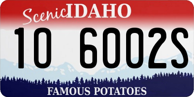 ID license plate 1O6002S