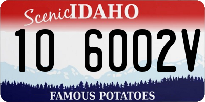 ID license plate 1O6002V