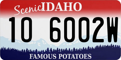 ID license plate 1O6002W