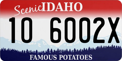 ID license plate 1O6002X