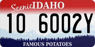 ID license plate 1O6002Y