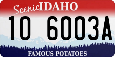 ID license plate 1O6003A