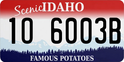 ID license plate 1O6003B