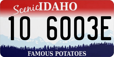 ID license plate 1O6003E