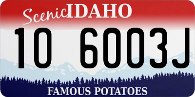 ID license plate 1O6003J