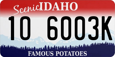 ID license plate 1O6003K