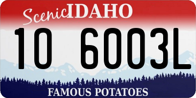 ID license plate 1O6003L