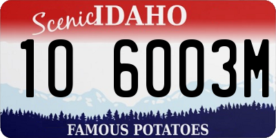 ID license plate 1O6003M