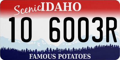 ID license plate 1O6003R