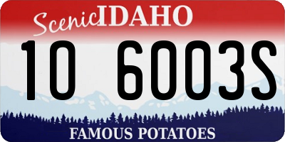 ID license plate 1O6003S
