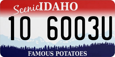 ID license plate 1O6003U