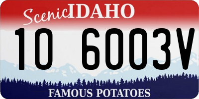 ID license plate 1O6003V