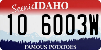 ID license plate 1O6003W