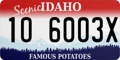 ID license plate 1O6003X