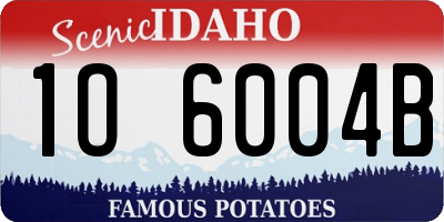 ID license plate 1O6004B