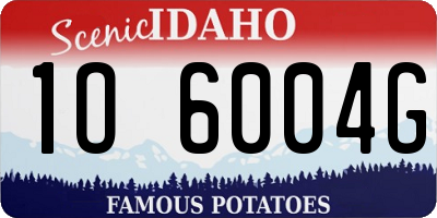 ID license plate 1O6004G