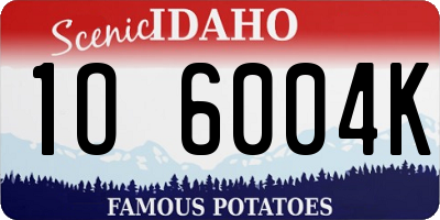 ID license plate 1O6004K