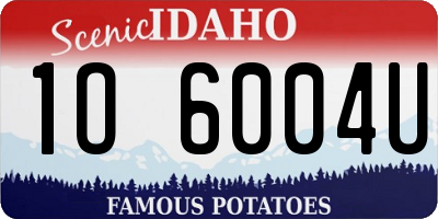 ID license plate 1O6004U