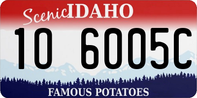 ID license plate 1O6005C