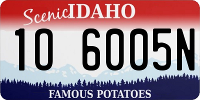 ID license plate 1O6005N