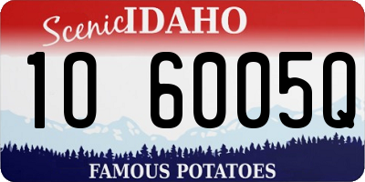 ID license plate 1O6005Q