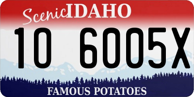 ID license plate 1O6005X