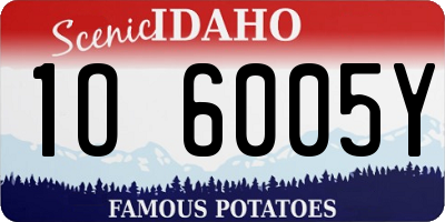 ID license plate 1O6005Y