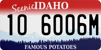 ID license plate 1O6006M