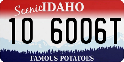 ID license plate 1O6006T