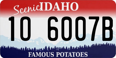 ID license plate 1O6007B