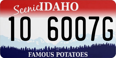 ID license plate 1O6007G