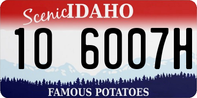 ID license plate 1O6007H