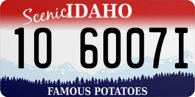 ID license plate 1O6007I
