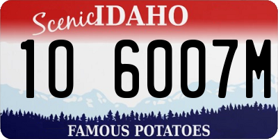 ID license plate 1O6007M