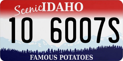 ID license plate 1O6007S