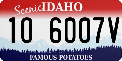 ID license plate 1O6007V