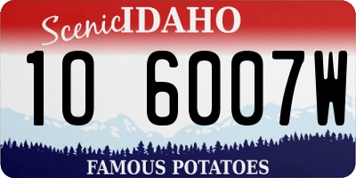 ID license plate 1O6007W